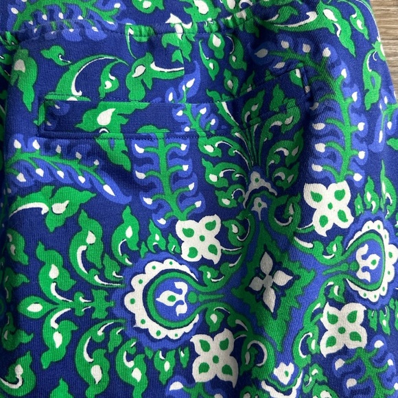 Talbots Blue Green Mini Athletic Skort - Picture 7 of 9